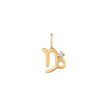 Load image into Gallery viewer, CAPRICORN | Zodiac Charm With Diamond
