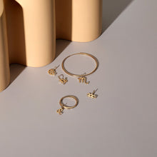 Load image into Gallery viewer, CANCER | Zodiac Charm With Diamond
